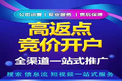 百度广告投放技巧及效果评估案例
