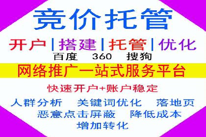 百度搜索推广实战经验：经典案例启示录